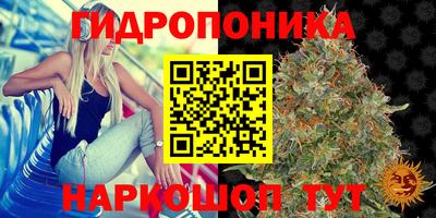 ECSTASY Ангарск