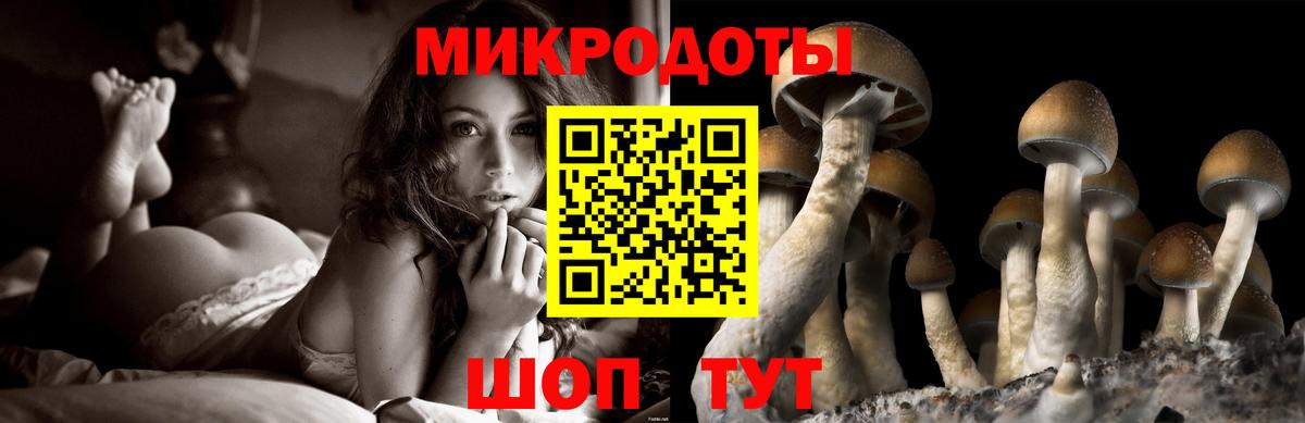 Галлюциногенные грибы прущие грибы  Галлюциногенные грибы MAGIC MUSHROOMS  Петрозаводск  Вход с VPN 